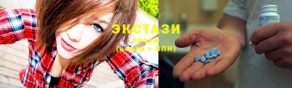 индика Козловка