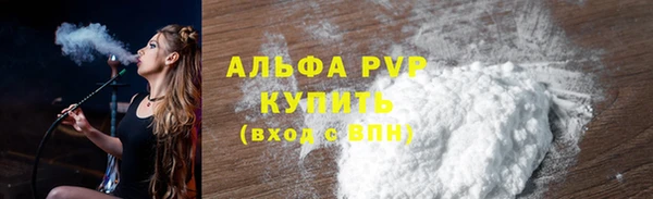 молекула духа Козельск