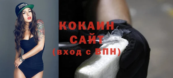 индика Козловка