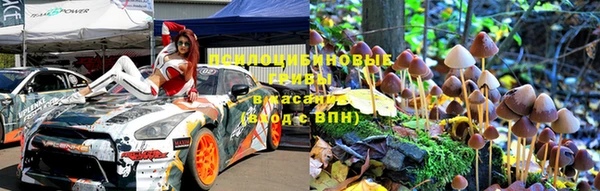 индика Козловка