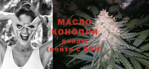 индика Козловка