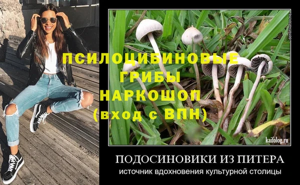 индика Козловка