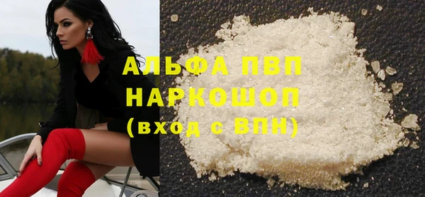 индика Козловка