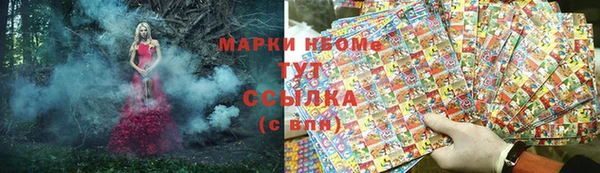 молекула духа Козельск