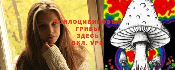 молекула духа Козельск