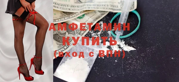 индика Козловка