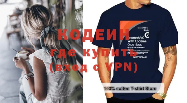 молекула духа Козельск