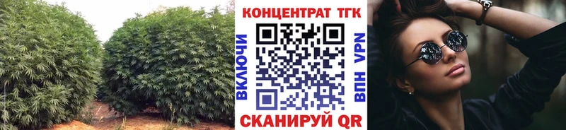 omg онион  где продают наркотики  Называевск  ТГК Wax 